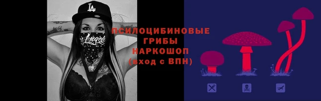 синтетический гашиш Алексеевка